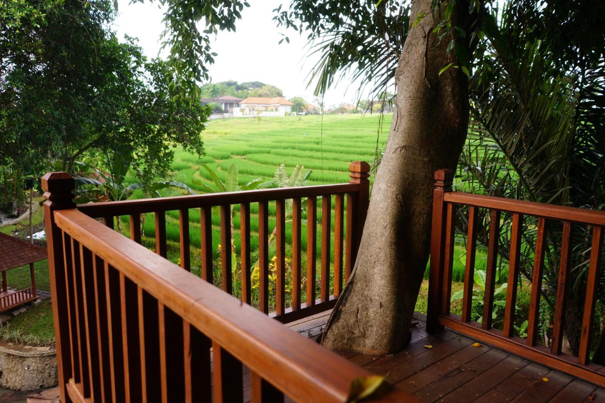 Paripadi Private Villa And Sanctuary تْشانغو المظهر الخارجي الصورة