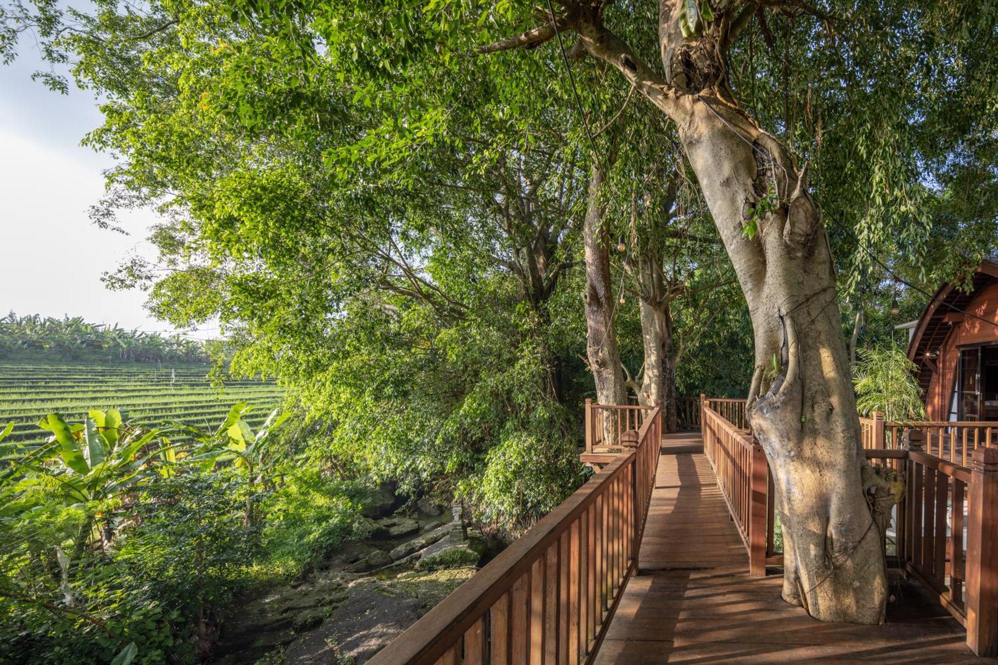 Paripadi Private Villa And Sanctuary تْشانغو المظهر الخارجي الصورة